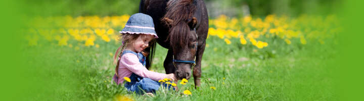 pferdeleckerli kategorieeinstiegsbanner